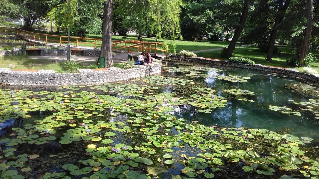 Margareta Vendeghaz Hotel Miskolc Buitenkant foto